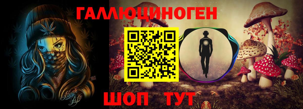Галлюциногенные грибы Psilocybine cubensis  Вход с VPN  Губкинский 